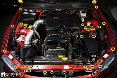 Lexus IS300/Altezza Engine Bay Dress Up Bolt Kit