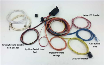 AEM 30-3706 Mini Flying Lead Harness for Infinity-6/8h systems